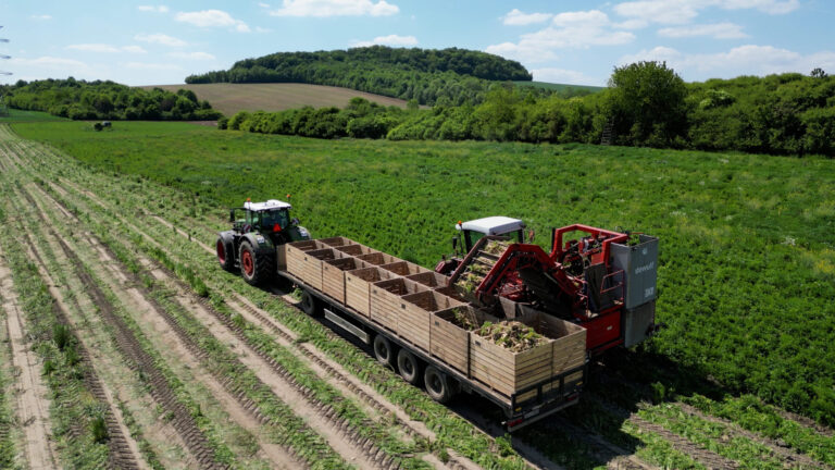 AI i biotechnologia dla rolnictwa. Konkurs dla start-upów pokazał kierunki rozwoju sektora agritech [DEPESZA]